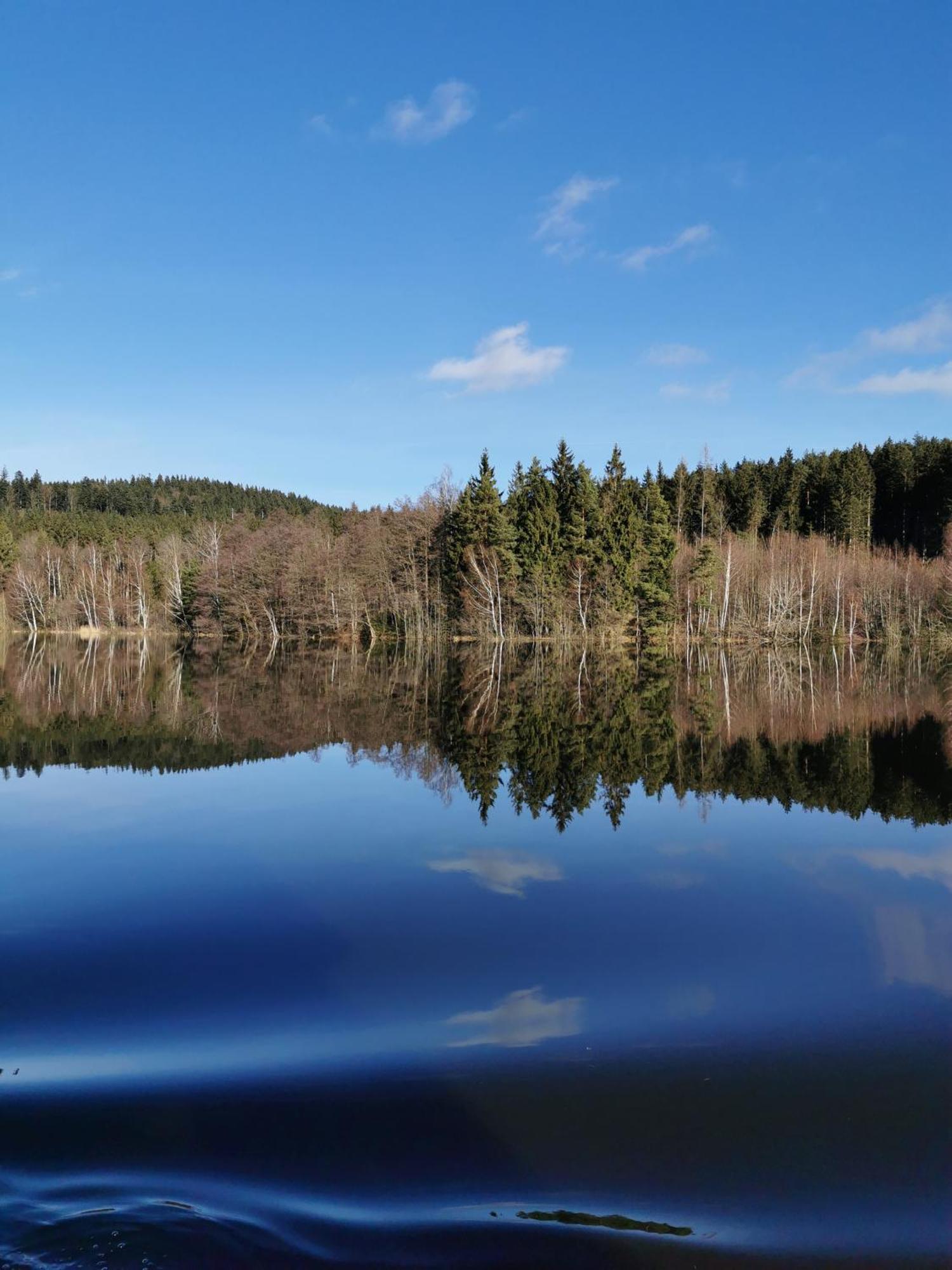 Apartman S Terasou A Vyhledem Na Jezero Lipno Kovářov Exteriör bild