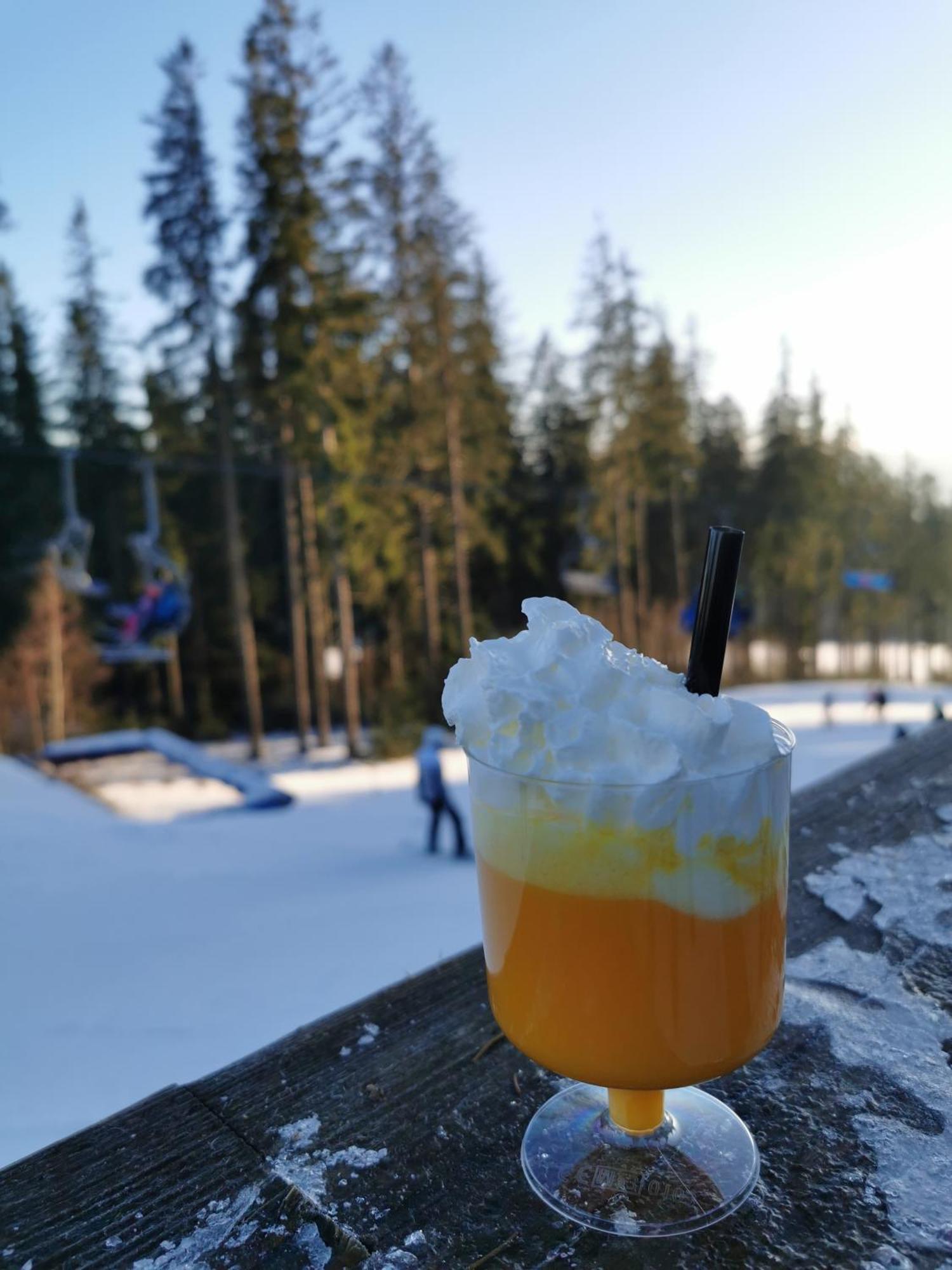 Apartman S Terasou A Vyhledem Na Jezero Lipno Kovářov Exteriör bild