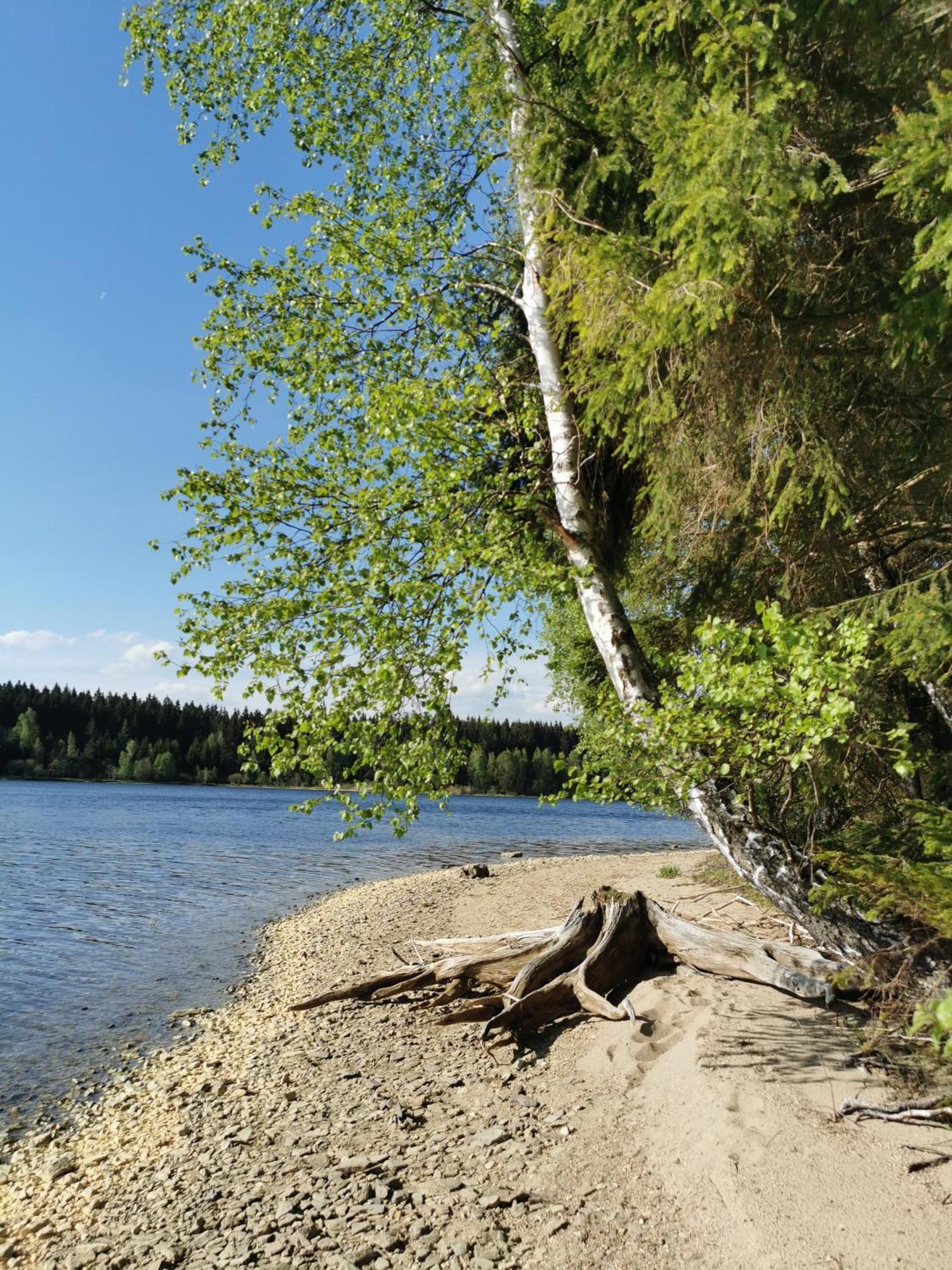 Apartman S Terasou A Vyhledem Na Jezero Lipno Kovářov Exteriör bild